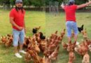 Sem carnaval, Bell Marques faz ‘folia das galinhas’ e diverte seguidores