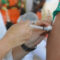 Brasil chega à marca de 100 milhões de doses de vacina aplicadas